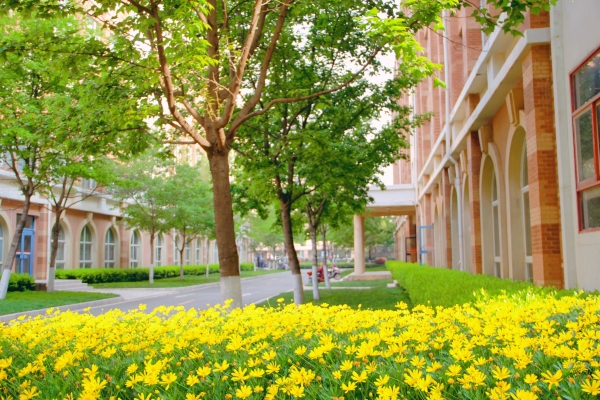 8b5d097e-9aa8-4557-a5ef-31db7055cc30