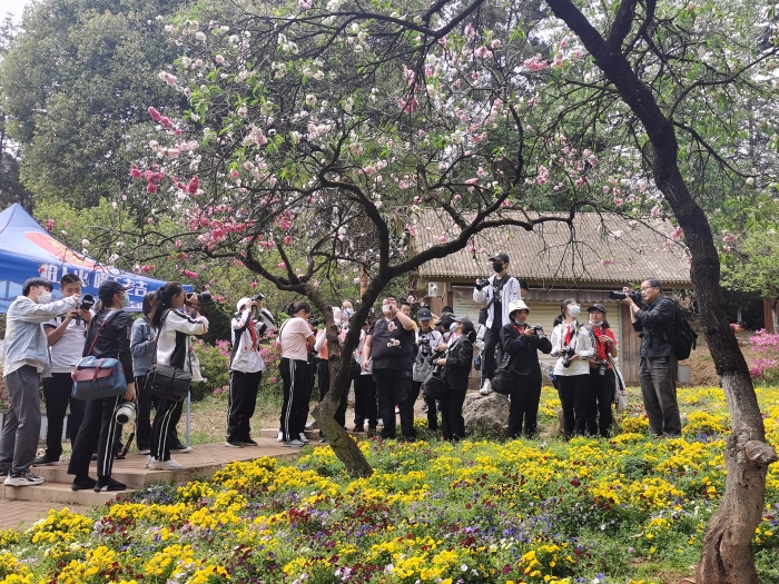 攝影藝術(shù)與后期制作 攝影藝術(shù)與后期制作