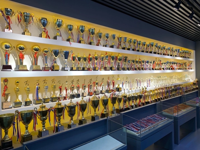 獎(jiǎng)杯 獎(jiǎng)杯