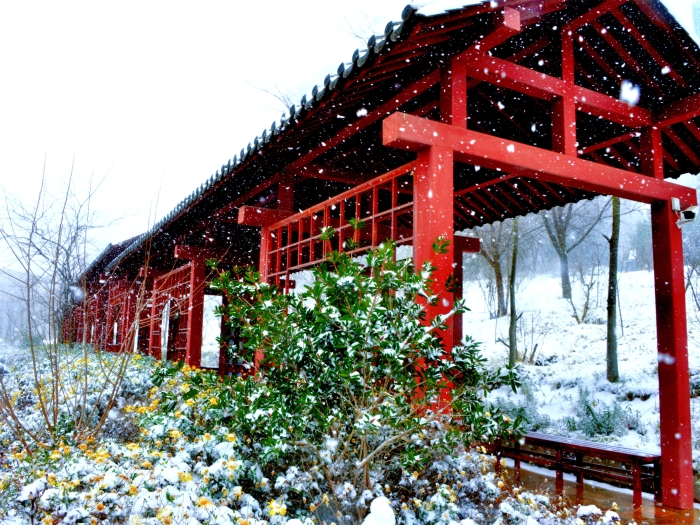 微信圖片_20220410113945 微信圖片_20220410113945