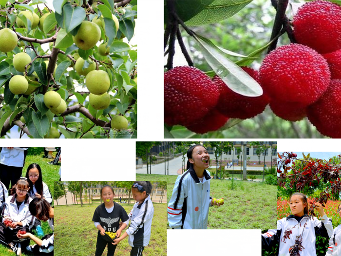 QQ截圖20200708094205 QQ截圖20200708094205