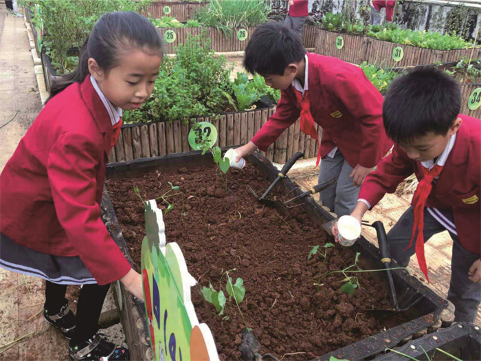 課程多元 學生多彩 (3) 課程多元 學生多彩 (3)