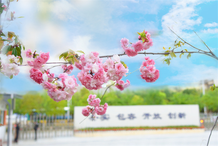 DSC_8888 拷貝 DSC_8888 拷貝