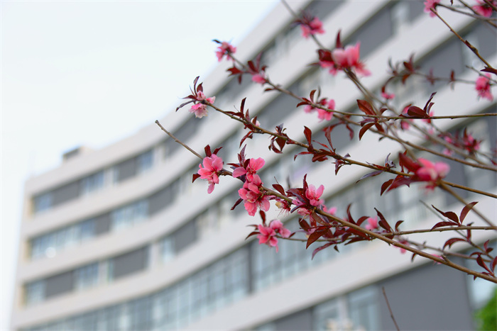 DSC_8856 拷貝 DSC_8856 拷貝