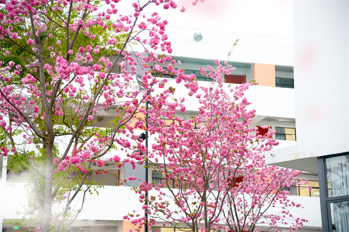 DSC_8867 拷貝 DSC_8867 拷貝