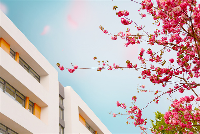 DSC_8929 拷貝 DSC_8929 拷貝