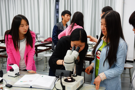 圖片 1(2) 圖片 1(2)