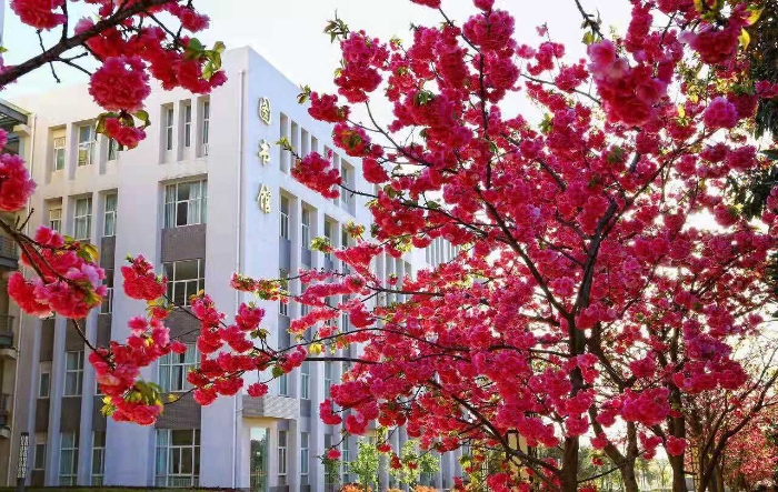 12高新校區(qū)校園圖 12高新校區(qū)校園圖