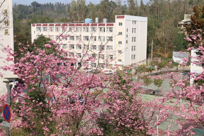 宿舍 丹桂苑 青岡苑