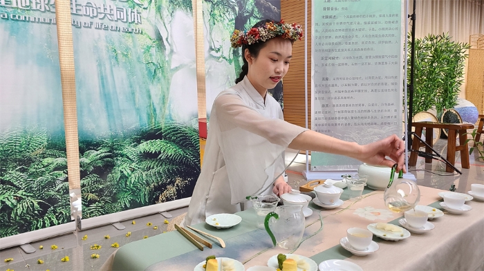 現(xiàn)代文秘專業(yè)茶藝展示