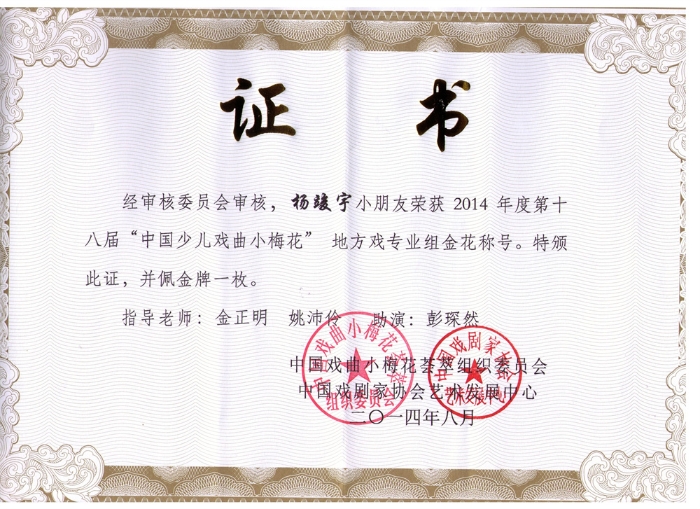 中國少兒小梅花金獎2