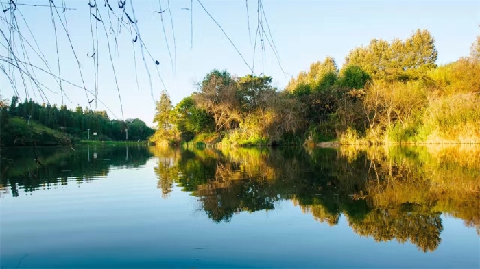 1859d9e5fe404551aa24163f1edeeb9c 1859d9e5fe404551aa24163f1edeeb9c