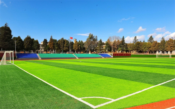 DSC_5610_副本 DSC_5610_副本