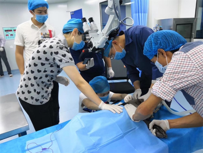 圖片 1(1) 圖片 1(1)