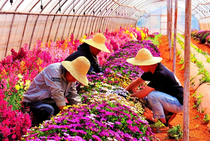 微信圖片_20220519134932_副本 微信圖片_20220519134932_副本