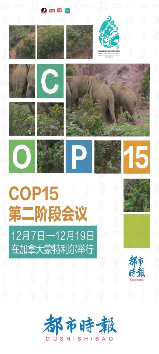 微信圖片_20221214174906