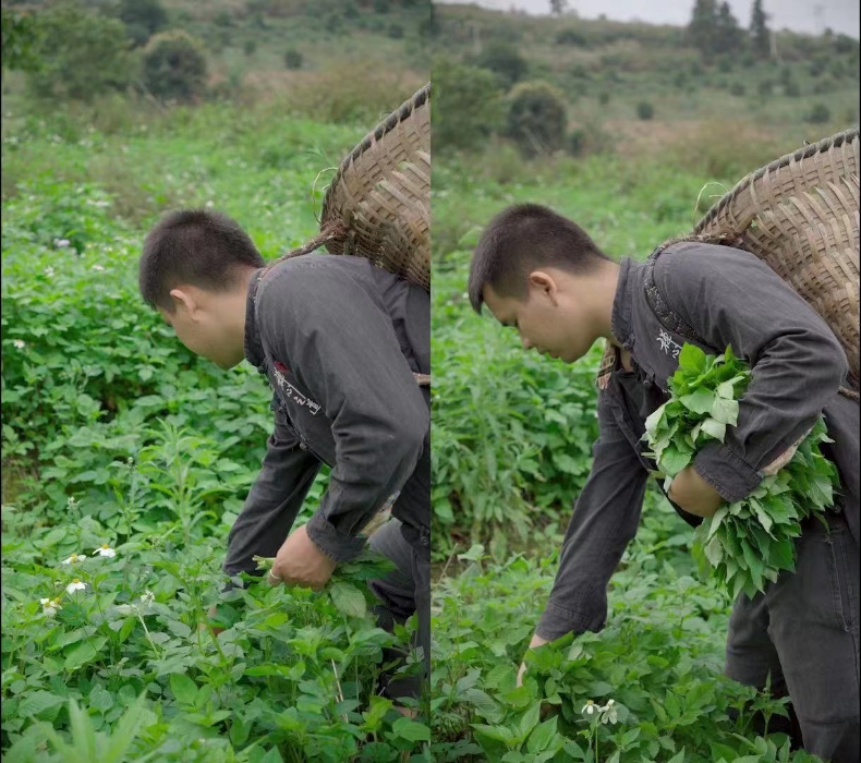 850d24b472f6da0c2e73fc8e03445c8