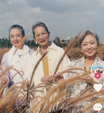 QQ截圖20221216103902