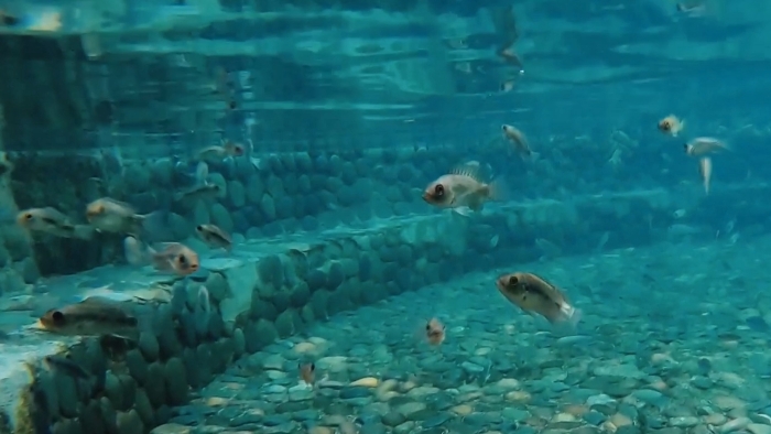 8fbc96680510ceb53c0929cccc82e46