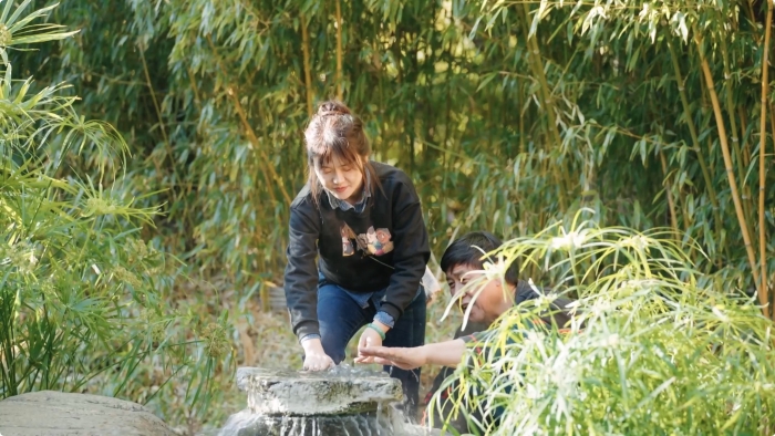 14c814b5915d28344c88299bab385dd