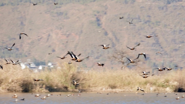 f512d97644b4a28fa397a70893e2a0a f512d97644b4a28fa397a70893e2a0a