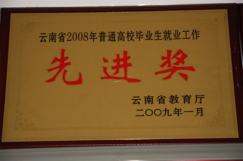 2008年就業(yè)工作先進獎 2008年就業(yè)工作先進獎