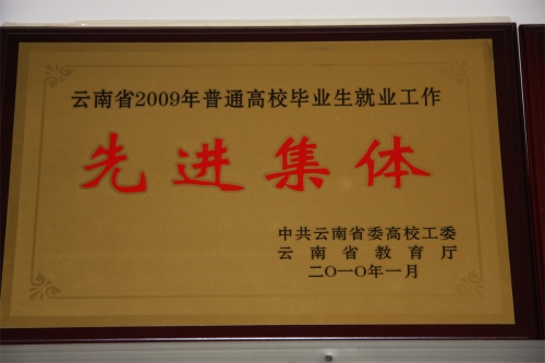2009年就業(yè)工作先進獎 2009年就業(yè)工作先進獎