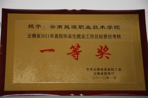 2011年就業(yè)工作先進獎 2011年就業(yè)工作先進獎