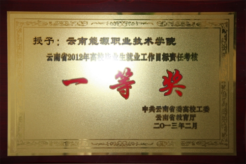 2012年就業(yè)工作一等獎 2012年就業(yè)工作一等獎
