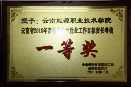 2013年就業(yè)工作一等獎 2013年就業(yè)工作一等獎