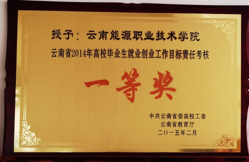 2014年就業(yè)工作一等獎 2014年就業(yè)工作一等獎