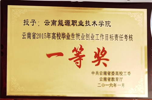 2015年就業(yè)工作一等獎 2015年就業(yè)工作一等獎