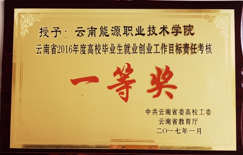 2016年就業(yè)工作一等獎 2016年就業(yè)工作一等獎