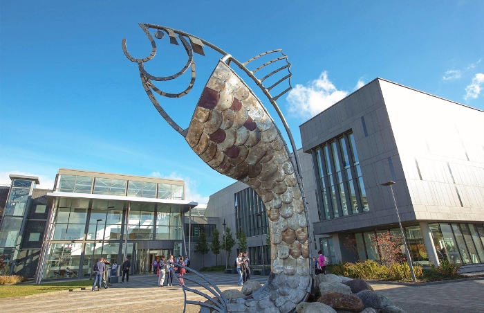 愛爾蘭大西洋理工大學(xué)校園正門_副本