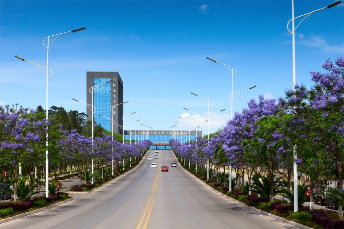 6.藍(lán)花楹大道