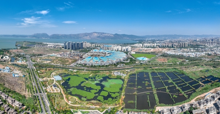 1五甲塘濕地公園  王正鵬 攝2023.5.23 DJI_0878 (1)