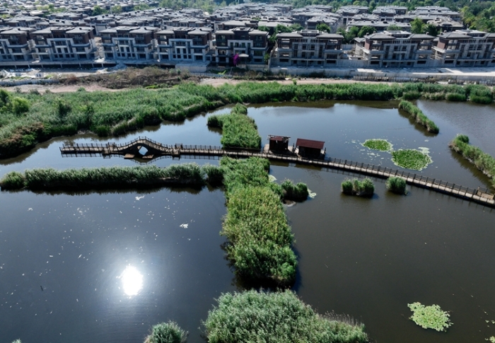 1五甲塘濕地公園  王正鵬 攝2023.5.23 DJI_0878 (7)