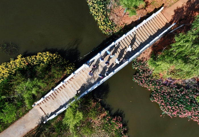 1五甲塘濕地公園  王正鵬 攝2023.5.23 DJI_0878 (8)