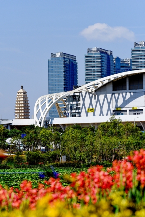 1五甲塘濕地公園  王正鵬 攝2023.5.23 DJI_0878 (33)