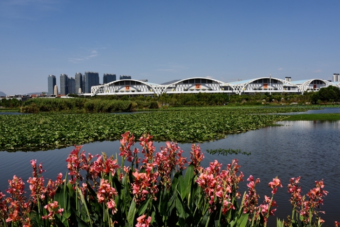 1五甲塘濕地公園  王正鵬 攝2023.5.23 DJI_0878 (34)