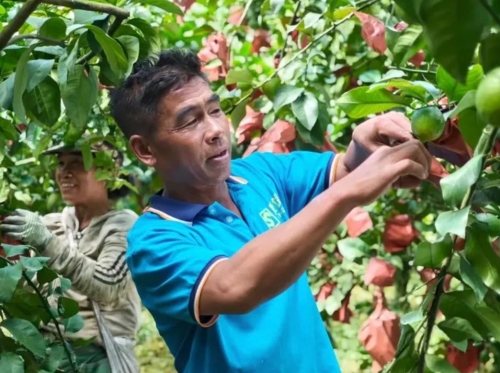 iShot_2026-01-14_10.10.28 iShot_2026-01-14_10.10.28