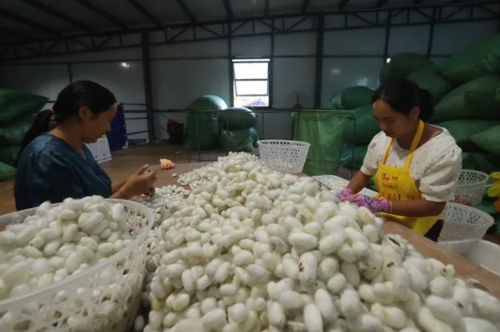 iShot_2026-01-14_10.10.33 iShot_2026-01-14_10.10.33