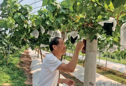 iShot_2026-01-14_10.14.31 iShot_2026-01-14_10.14.31