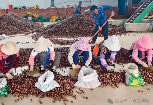 iShot_2026-01-14_10.14.35 iShot_2026-01-14_10.14.35