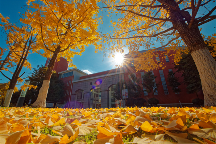 企業(yè)微信截圖_17169510196717